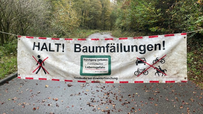 Straße mit Absperrung und Hinweis auf Baumfällarbeiten