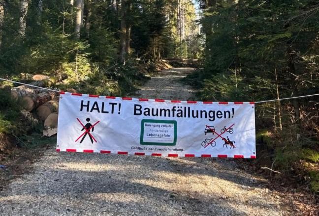Absperrung an einem Waldweg
