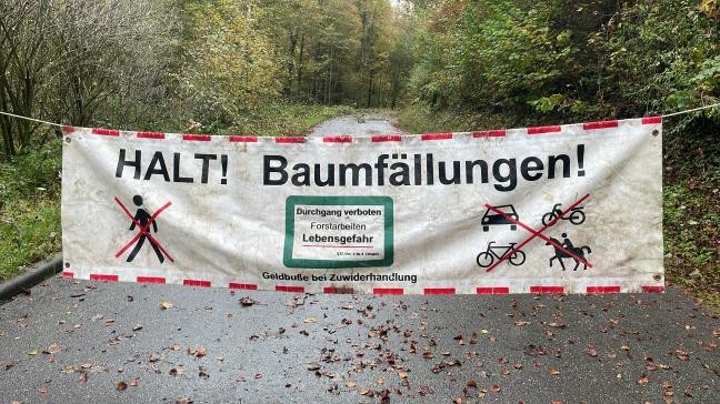 Mit Banner gesperrter Waldweg