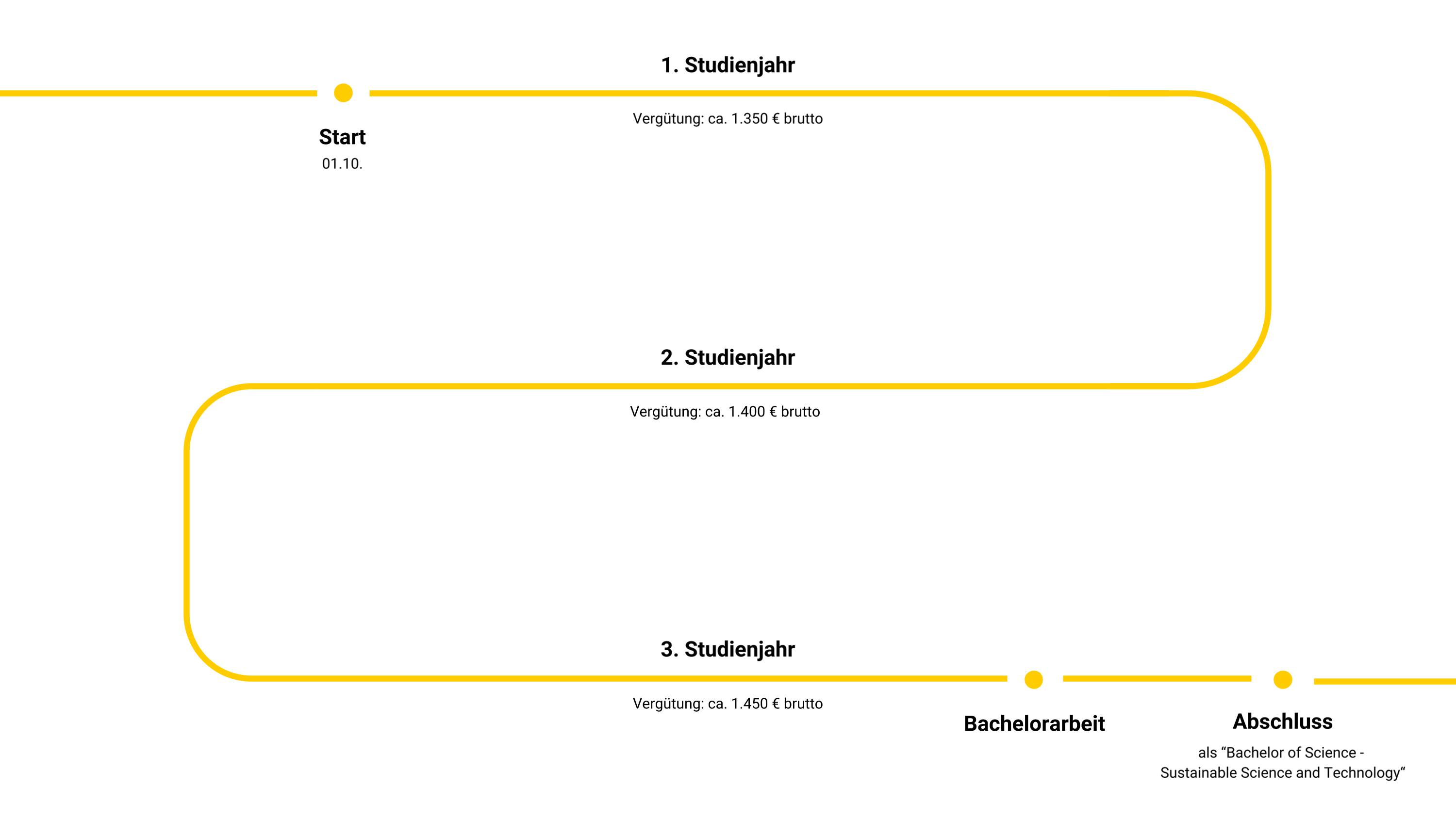 Grafik zeigt Studiumsverlauf des Studiums Sustainable Science and Technology