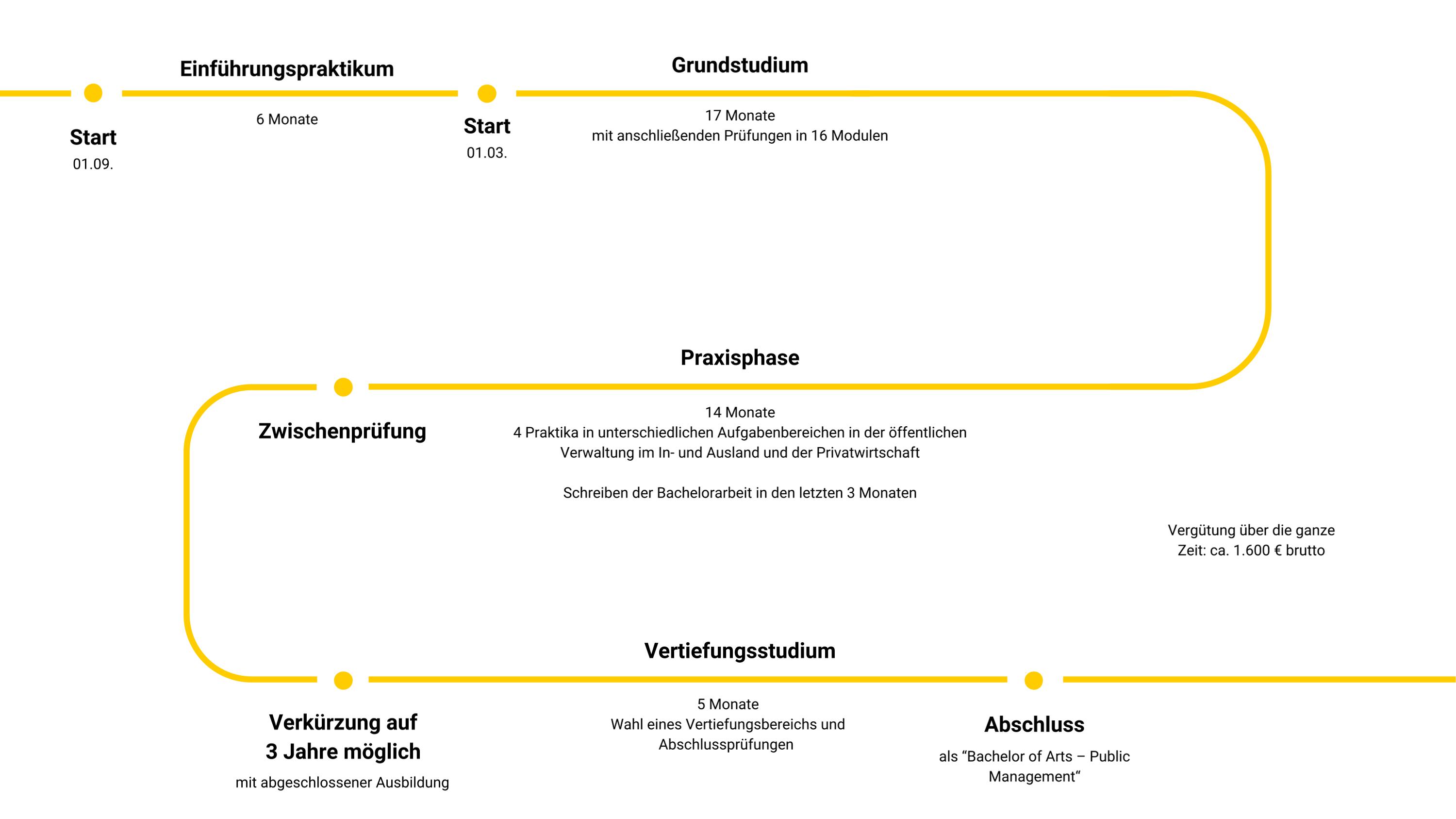 Grafik Studium Public Management Grafik zeigt Studiumsverlauf des Studiums Public Management
