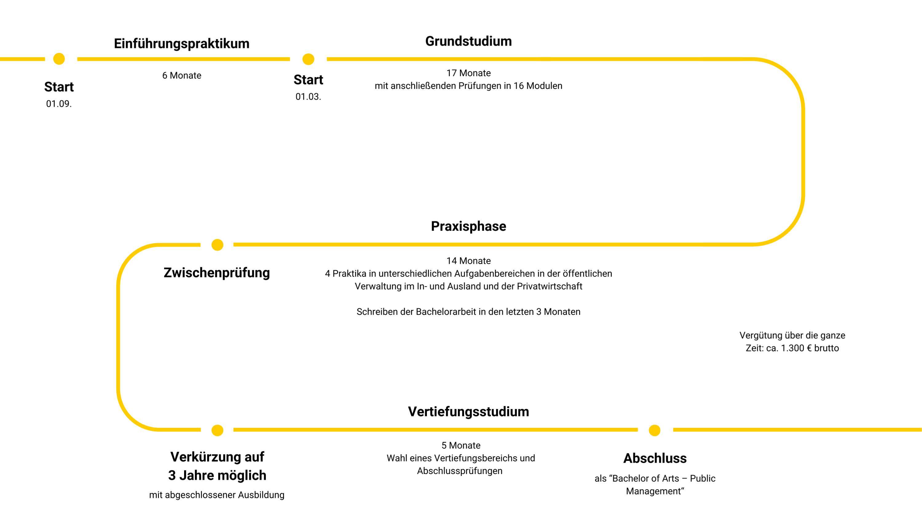 Grafik zeigt Studiumsverlauf des Studiums Public Management